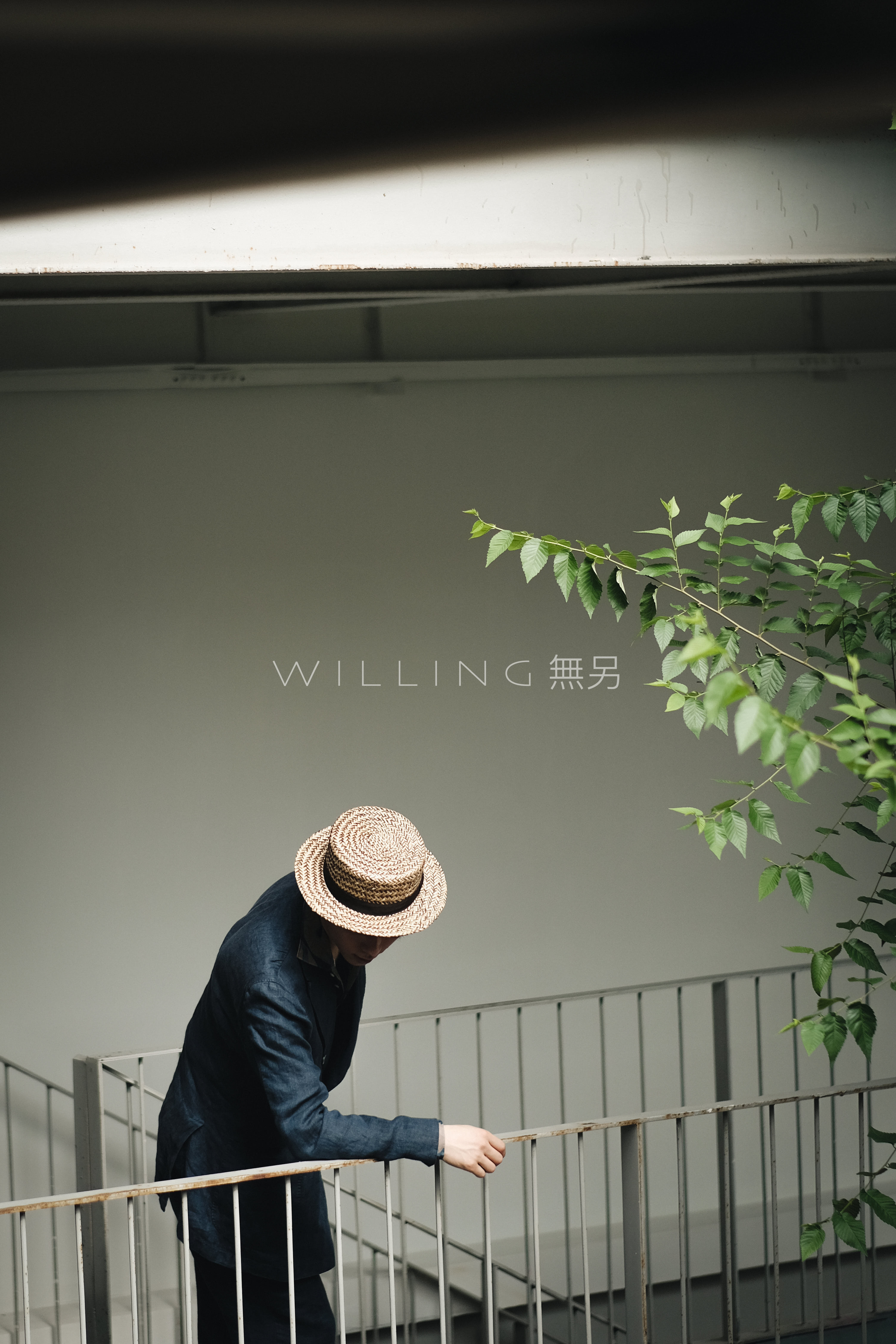 WILLING｜客照